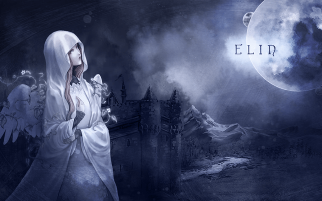 Elin Build