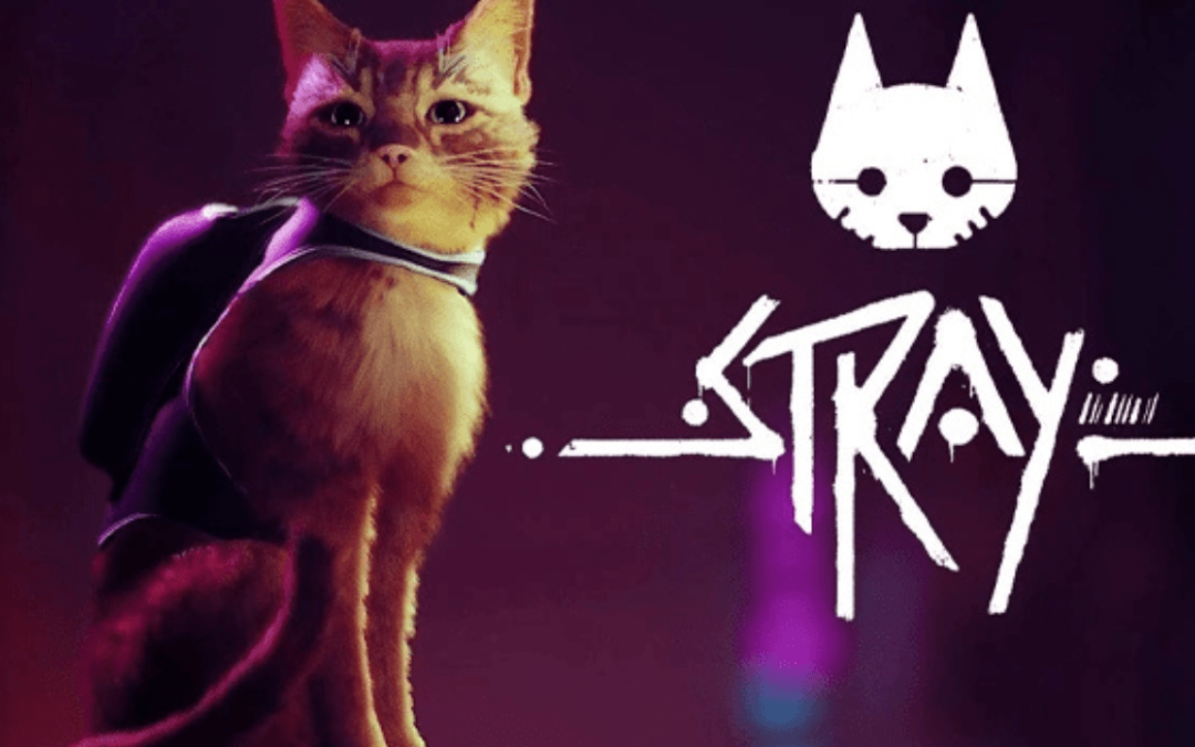 Stray